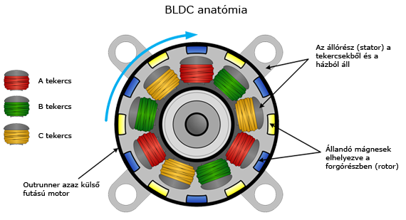 bldc_anatomia.png