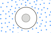 ip6x.png