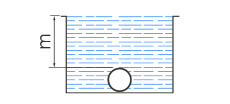 ipx8.png