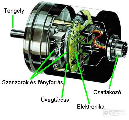 Szögadó metszet